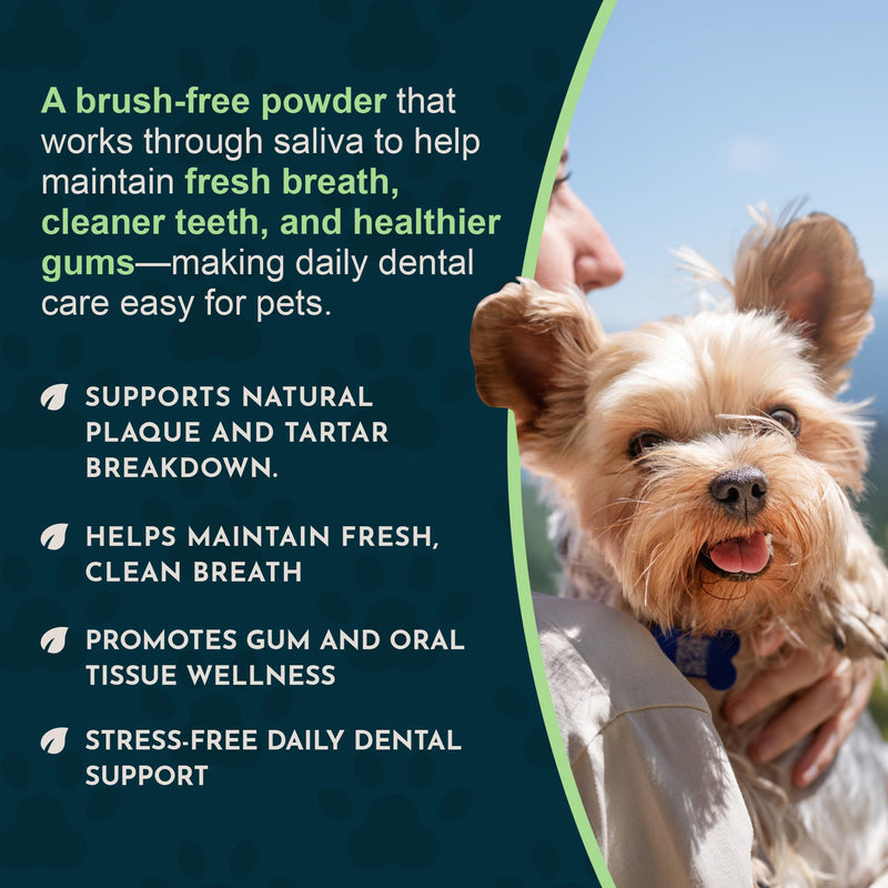 Animal Essentials Sea-Dent for Dog Teeth - Dental Powder for Dogs & Cats Teeth & Gums, Natural Oral Formula for Plaque & Tartar, Bad Breath Oral Freshener & Cleaner - 1.76 oz