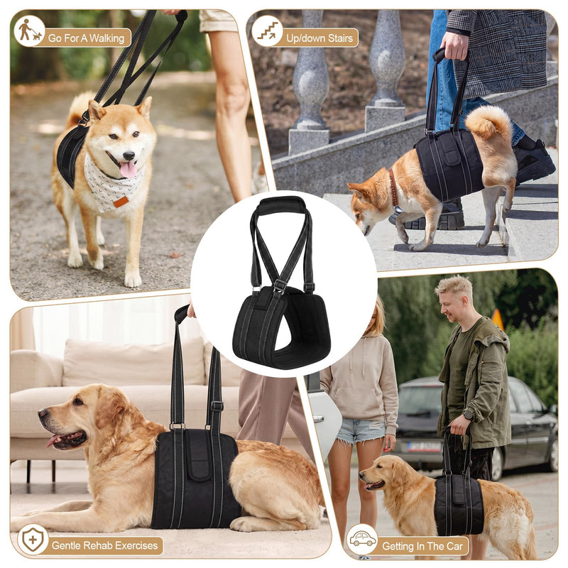 Adjustable Dog Lift Harness Portable Breathable Soft Dog Sling for Back Legs Support Rehab Harness for Summer Weak Rear Legs Senior Injured Disabled After Acl Surgery Pooch(Medium) M
