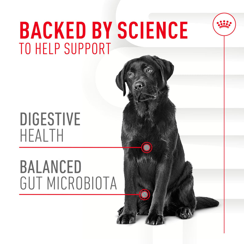Royal Canin Digestive Dog Supplement Soft Chews for Adult Dogs, 60 Count Adult: Digestion 8.47 Oz