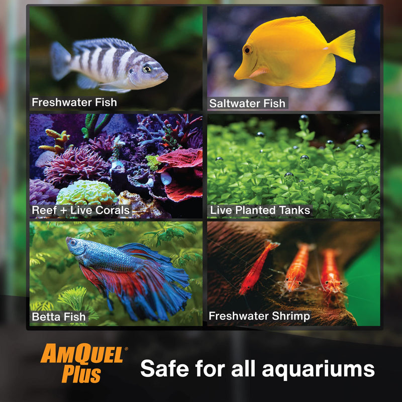 Kordon AmQuel Plus Aquarium Water Conditioner - Instantly Detoxifies Ammonia, Nitrite, Nitrate, and Chlorine Remover for Freshwater & Saltwater Aquariums, 16 Ounces