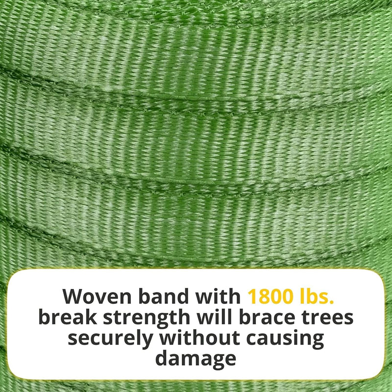 Green Tree Tie Webbing Strap 3/4" x 250' - Heavy Duty Tree Straps for Staking, Guying, Securing & Outdoor Use - Garden Ties Webbing Flat Rope for Heavy Plants & Trees Support by IDL Packaging Green