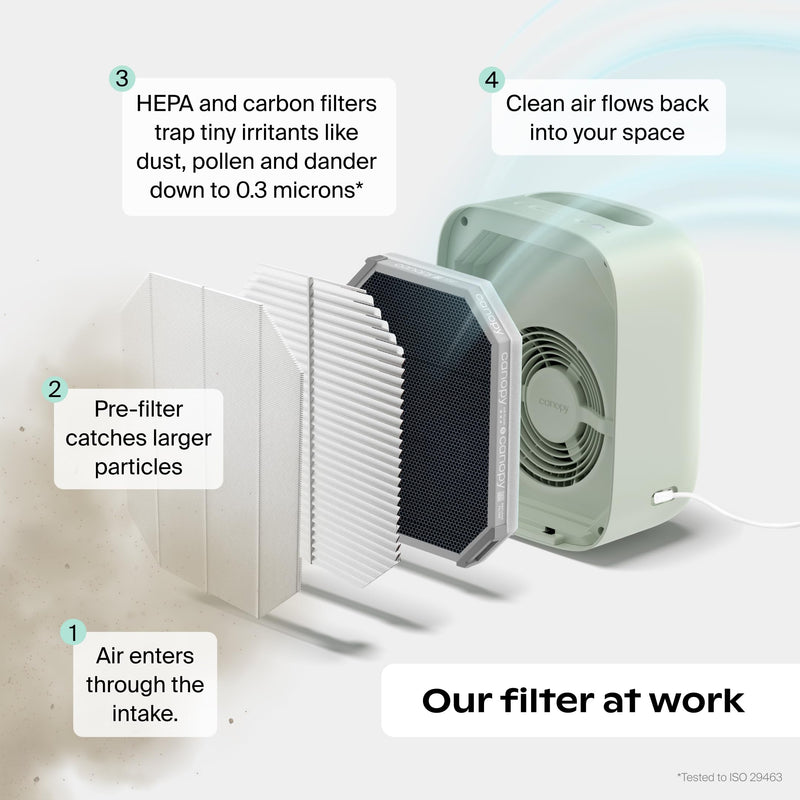 Air Purifier Filter 1pk
