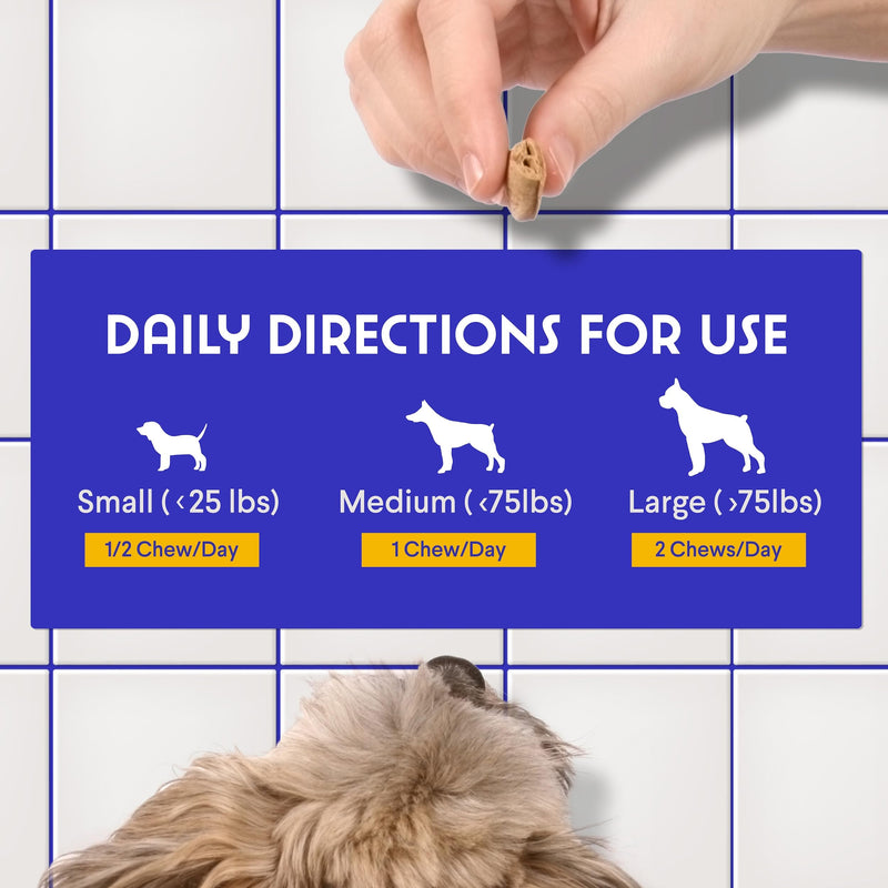Premium Multivitamin for Dogs Daily Multi for Immune, Mood, Joint, Skin, Heart & Digestive Health - 21 in 1 Dog Multivitamins for Optimal Health Essential - 60 Multivitamin Dog Chews - PawsPlanet Australia