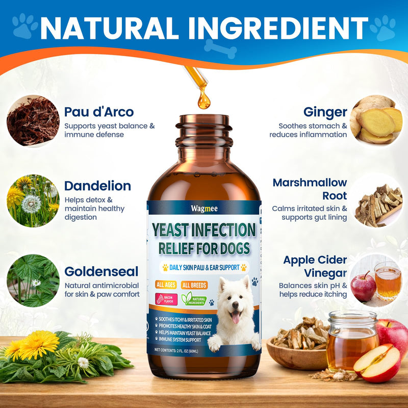 Natural Yeast Relief for Dogs, Supports Itch & Allergy Relief, Eases Ear Paw Discomfort for Dog, Supports Immune System Yeast Inflammation – 60ml Bacon Flavor