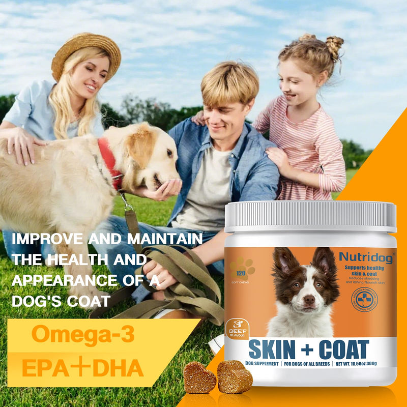 Dog Skin & Coat Chews 120 Count – Omega 3, 6 & 9 + Linoleic Acid & Vitamin E for Itching, Shedding & Allergy Relief, Dry Skin Support, Beef Flavor, All Breeds & Ages