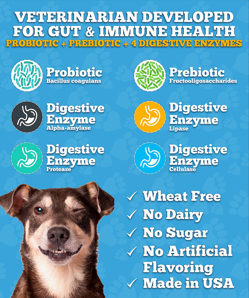Well Loved Probiotics for Dogs - Dog Probiotics and Digestive Enzymes, Made in USA, Vet Developed, Dog Probiotic Chews with Prebiotics, Diarrhea Treatment, for Itchy Skin, Gut Health & Gas Relief - PawsPlanet Australia