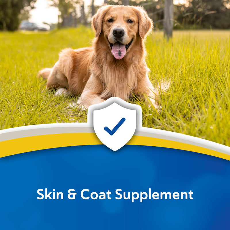 Doc Roy’s Derma Coat Plus Supplement for Dogs, Supports Healthy Skin, Coat & Nails, with Omega 3-6-9 Fatty Acids, Biotin & Antioxidants, 60 Count for Medium & Large Dogs 60ct Medium & Large Dogs
