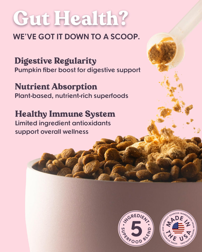 Bundle x Joy Superfoods with Pumpkin for Dogs Daily Boost, Vegan Digestive Support, Gut Health for Dogs, Supports Stomach Upset & Loose Stools, Dog Supplements Made in USA - 35 Scoops