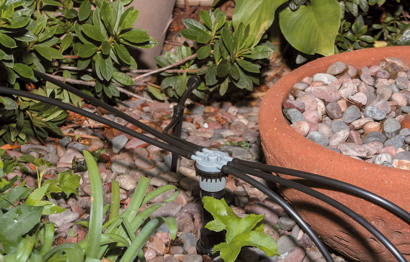 Rain Bird MANIFRE6S Drip Irrigation 6-Port Manifold, Unregulated Free Flow 1/2" NPT x 1/4" Drip 6-Port Free Flow