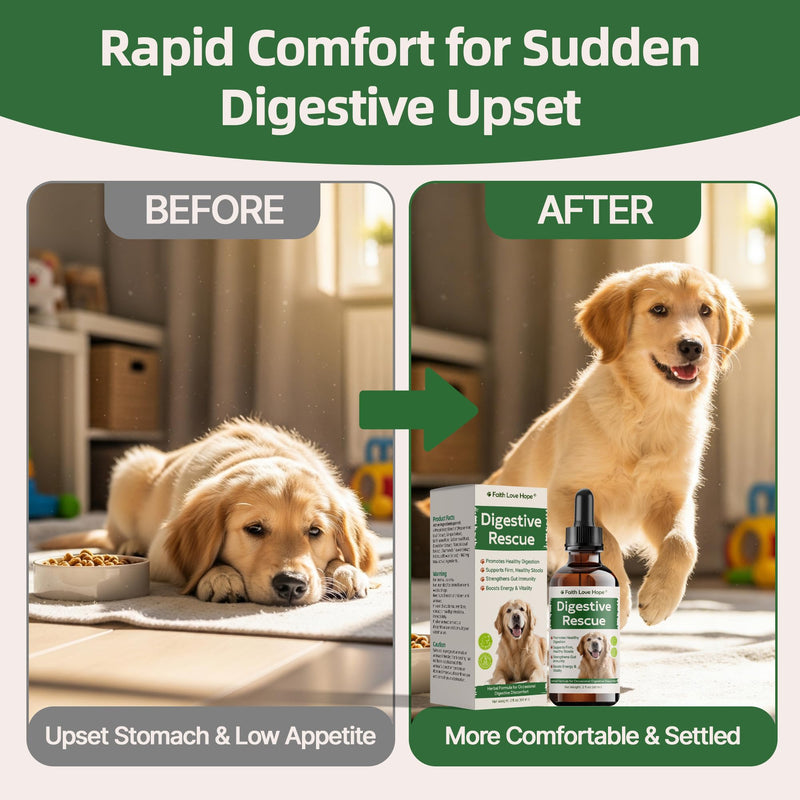 Parv0 for Dogs, Digestive Rescue for Dogs and Puppies, Vet-Informed Herbal Liquid for Occasional Diarrhea, Vomiting & Stomach Upset, Supports Appetite, Gut Health, Stool Consistency & Vitality, 2oz
