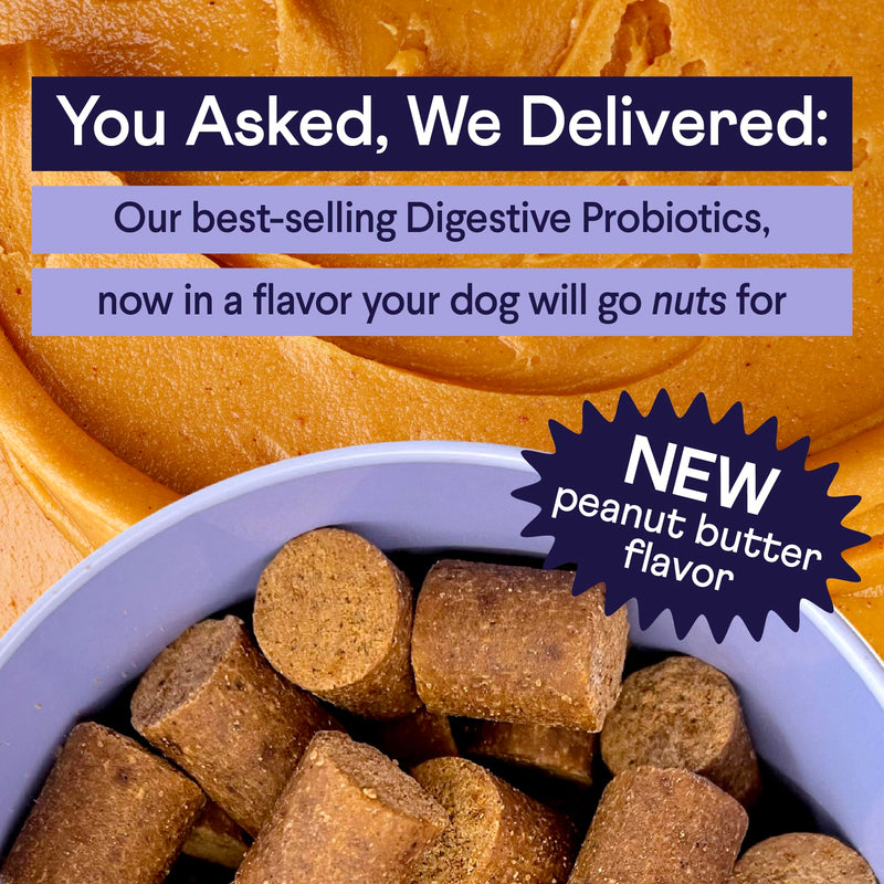 Finn Digestive Probiotics for Dogs - Complete Digestive System Support with Pumpkin, Prebiotics, & Live Probiotics - Vet Recommended & Made in The USA - 90 Soft Chews (Peanut Butter) Peanut Butter - PawsPlanet Australia
