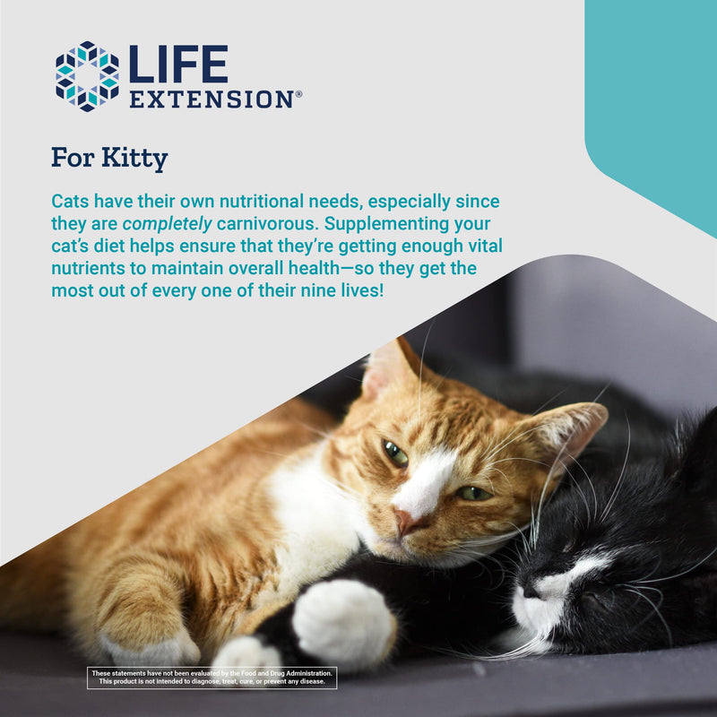 Life Extension Cat Mix – For Heart, Kidney & Pancreatic Function + Gut Health –with Vitamins & Essential Nutrients - Formula For Kitty - Gluten-Free, Non-GMO – Net Wt.100 Grams (85 Servings) - PawsPlanet Australia