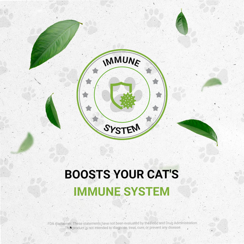 Lion's Immune Boost | Natural Herbal Dietary Supplement | Immune Support in Cats | Alcohol-Free Extract, Cat's Claw, Echinacea Root, Shiitake, Cordyceps, Milk Thistle 2 oz - PawsPlanet Australia