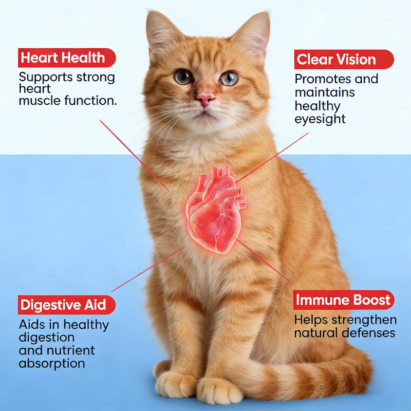 KittySupplement Taurine Powder for Cats,Heart Health & Vision Care, Essential for Feline Daily Wellness,200 Grams