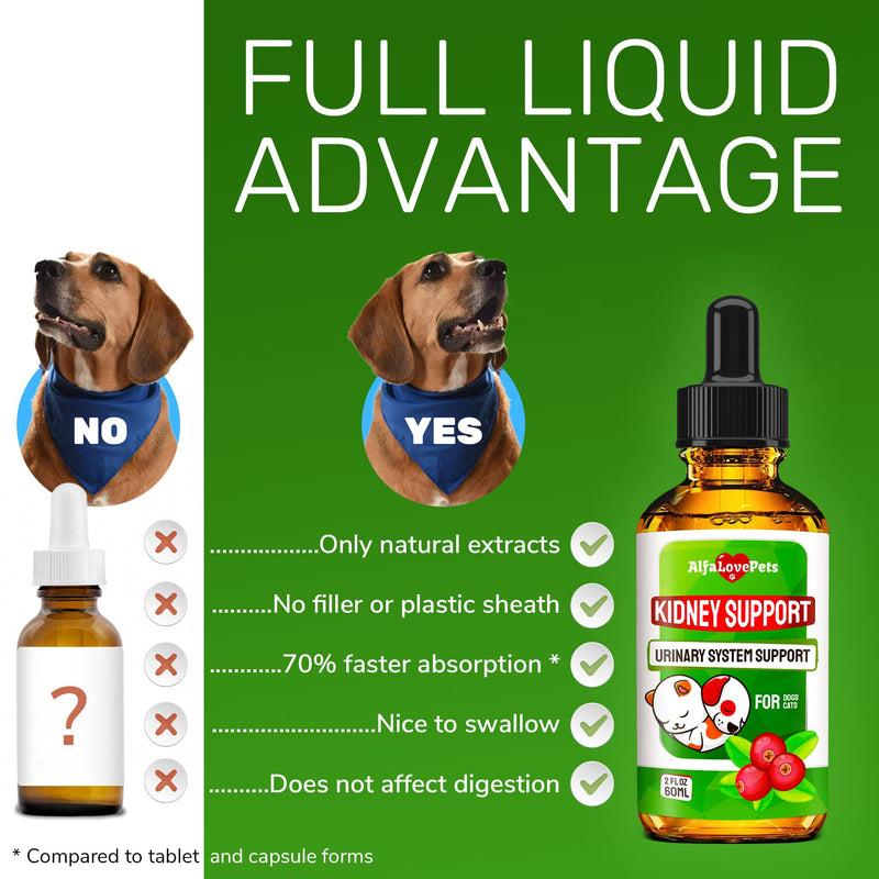 Natural Kidney Support for Dog UTI & Cat UTI - Canine Urinary Tract Care w/ Cranberry - Cat Bladder & Dog Kidney Essentials - Organic Supplement - Made in USA Drops for Dog Kidney Support (2 Oz) - PawsPlanet Australia