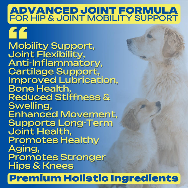 Glucosamine Joint Supplement for Dogs Joint Pain Relief – Glucosamine Chondroitin MSM & Turmeric Hip & Joint Support Chews for Large & Senior Dogs – 120 Ct Glucosamine chew