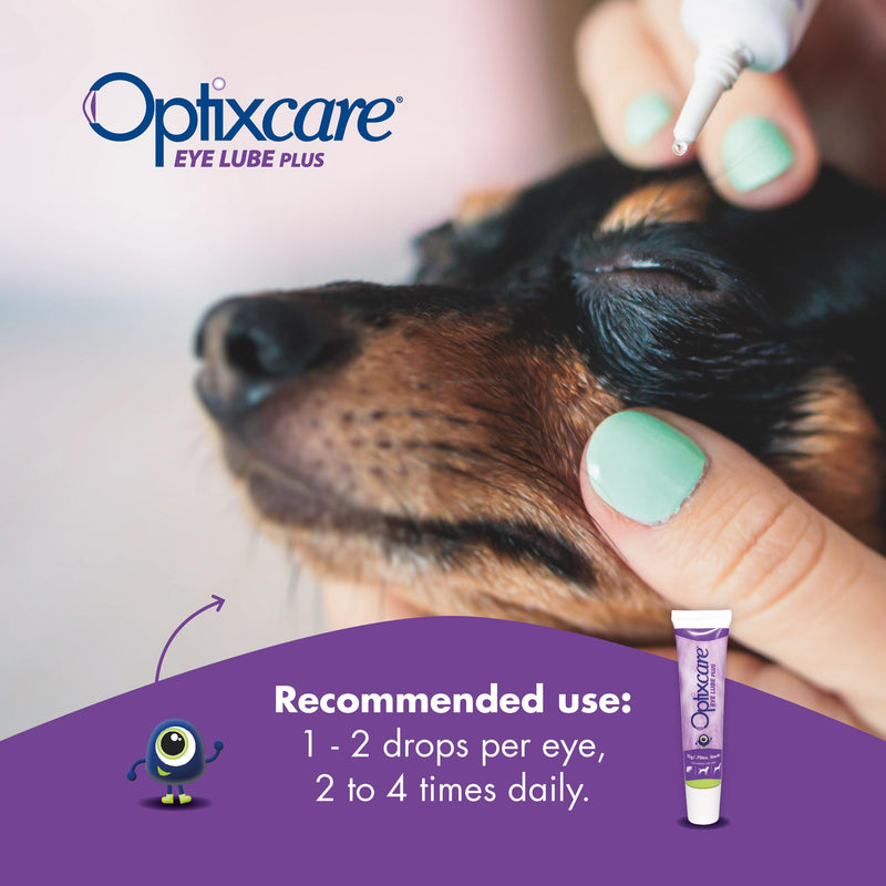 Optixcare Eye Lube Plus Home Kit – 3 x 20g Tubes + Lubricant Holder – Long‑Lasting Eye Lubrication for Pets – Daily Eye Moisture Support