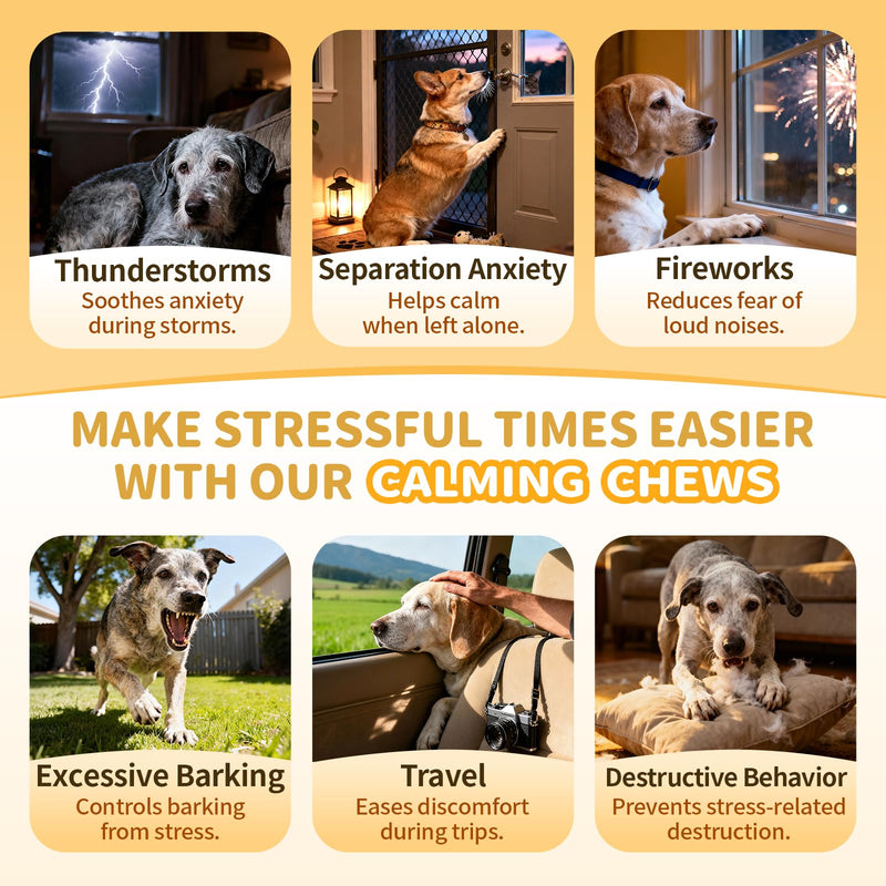 Advanced Calming Chews for Dogs-Brain & Composure Support with 7 Mushrooms, Ashwagandha, Omega-3 DHA & EPA, All Breeds & Sizes, Salmon Flavor, 90Ct