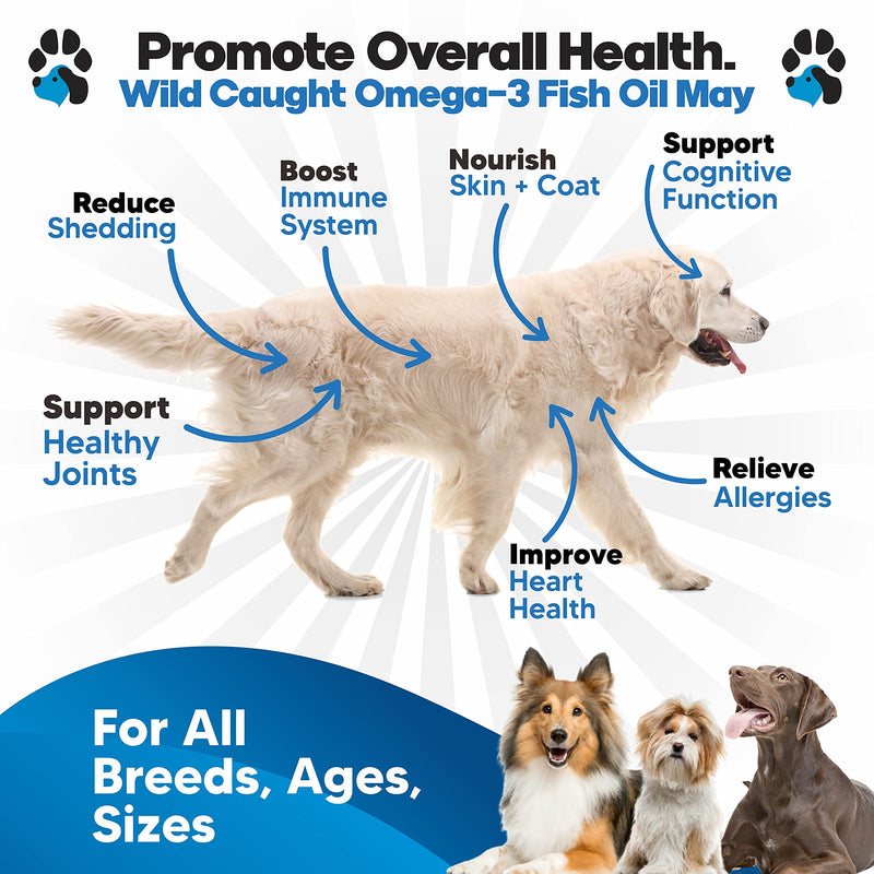 Omega 3 Fish Oil for Dogs - Better Than Salmon Oil - Dog Fish Oil Supplement to Reduce Shedding & Itching - Supports Joints, Brain, and Heart Health - Skin and Coat Supplement - Liquid Fish Oil 12 Oz