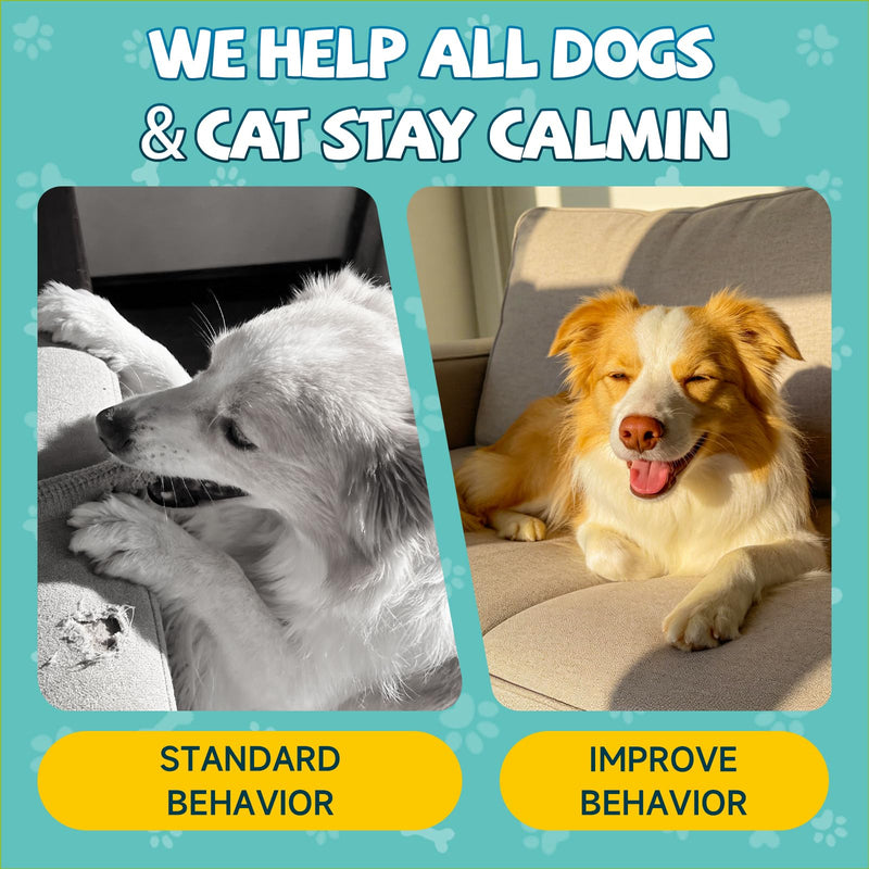2 Pack Calming Drops for Dogs & Cats - Cat Calming Treats for Anxiety Relief, Relaxation, Sleep Aid + L-Lysine Supplement for Cats - Immune Support Lysine Drops of All Ages