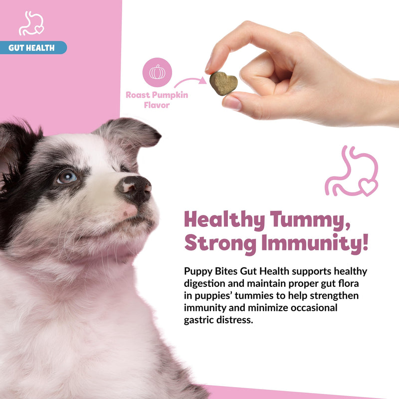 Snuggle Puppy Puppy Bites Gut Health Supplement - Dog Probiotics & Prebiotics for Gut Health - Pet Supplement and Supplies for Dog Health - Dog Digestive Health Support - 60 Soft Chews - PawsPlanet Australia