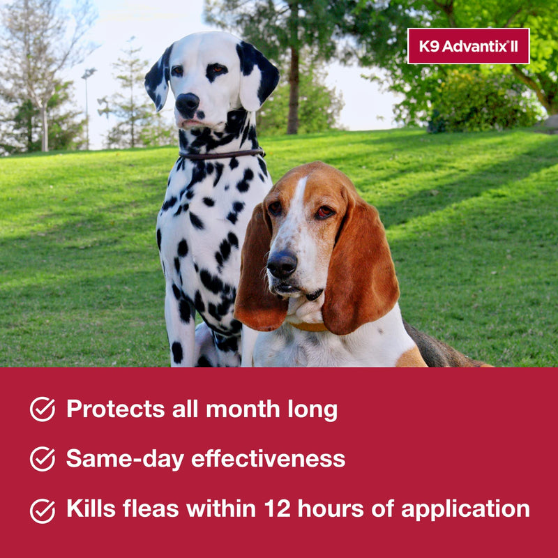 K9 Advantix II Medium Dog Vet-Recommended Flea, Tick & Mosquito Treatment & Prevention | Dogs 11-20 lbs. | 4-Mo Supply 4 Pack