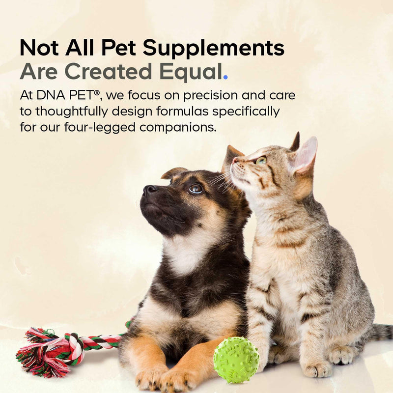 DNA PET Beef Bone Broth Powder for Dogs Supplement – Grass-Fed Beef with Canine Probiotics (Bacillus coagulans & Bacillus subtilis) - Canine Joint & Gut Wellness Support – All Breeds & Sizes – 3.17 oz