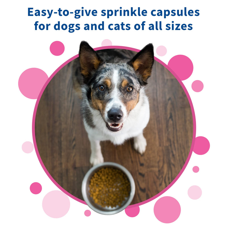 Nutramax Proviable Health Supplement for Cats and Dogs 30 Count - PawsPlanet Australia