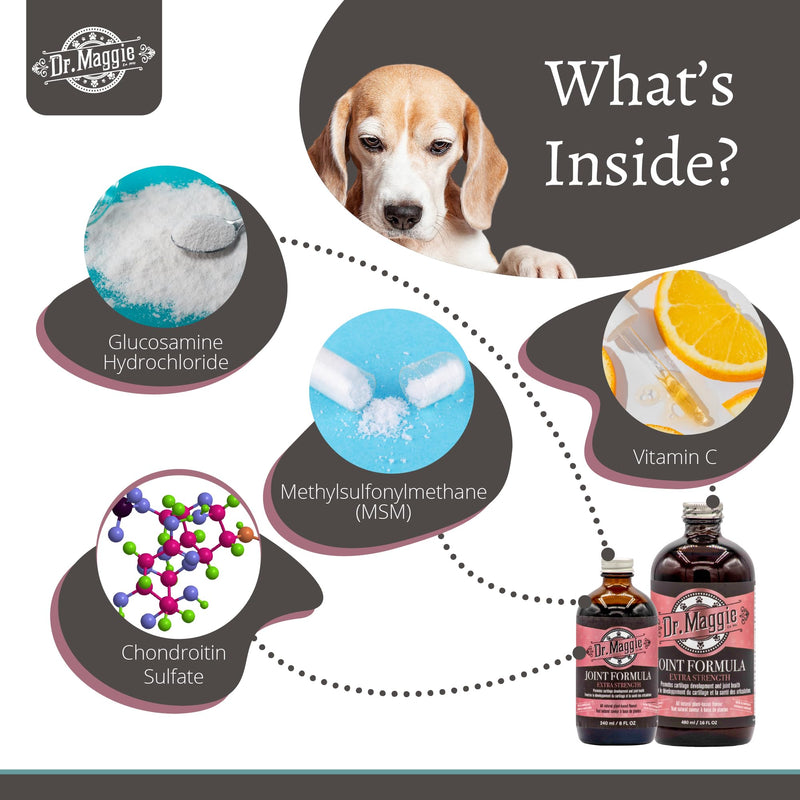 Dr. Maggie Joint Formula for Dogs and Cats with MSM, Glucosamine, and Chondroitin | 240 ml