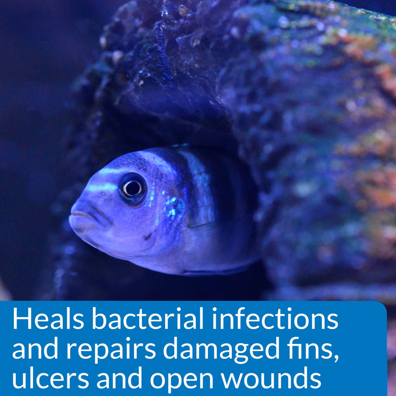 API MELAFIX Freshwater Fish Bacterial Infection Remedy 8-Ounce Bottle