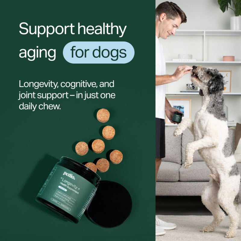 Longevity+ Dog Health Supplement - Dog Vitamins and Supplements for Joint, Muscle, Immune, and Cognitive Health - Vet-Formulated and Made in the USA - for Small Dogs 24 lbs or Less - 30 Day Supply Small Dog | (24lbs or less)