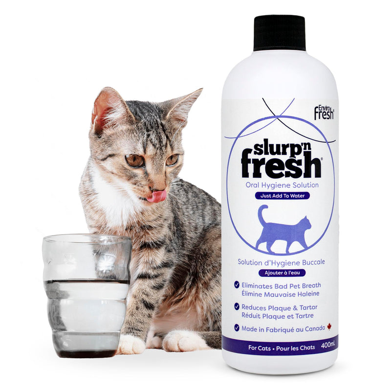 Slurp’n Fresh Cat Water Additive 400 mL, Oral Hygiene Solution for Cats, Reduces Plaque & Tartar, Freshens Breath, Alcohol-Free #858