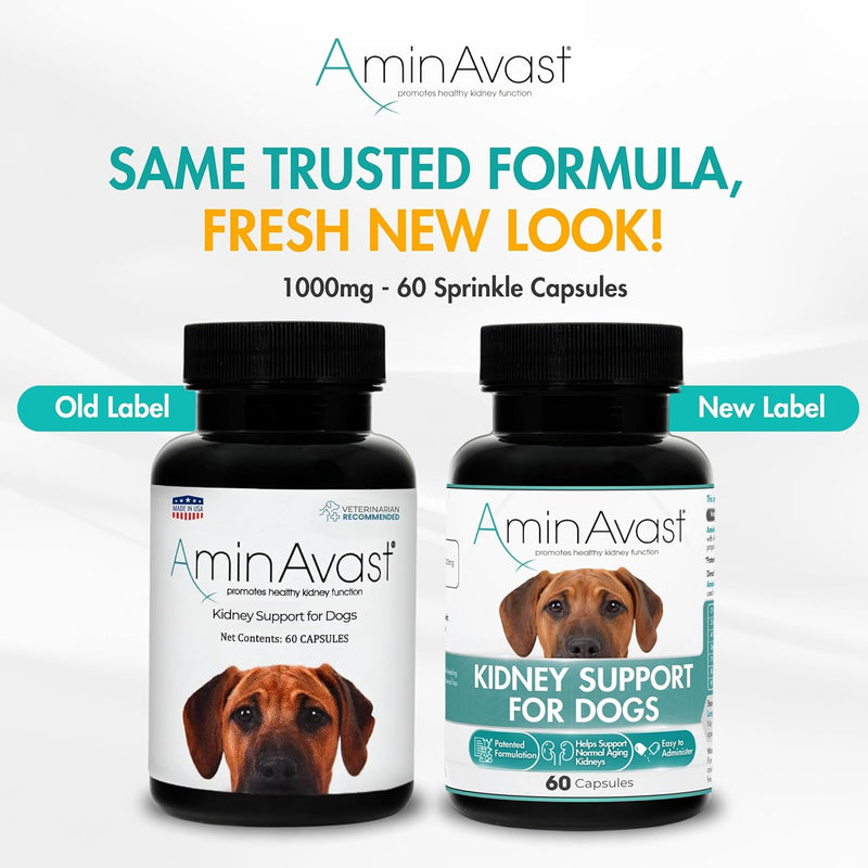 AminAvast Kidney Support Supplement for Cats and Dogs, 1000mg - Promotes Natural Kidney Function - Aids in Health and Vitality of Aging Kidneys - Easily Administered - 60 Sprinkle Capsules - NewNest Australia