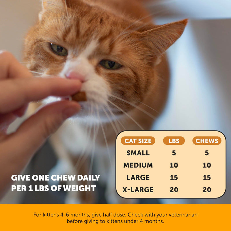 Cat Immune Support Lysine – Allergy Relief & Immune Health Supplement for Cats with L-Lysine, Colostrum, Quercetin & Omega-3 – Soothes Sneezing, Runny Nose & Itchy Skin Chicken, (90-Day Supply) Chicken - Cat 90-Day Supply