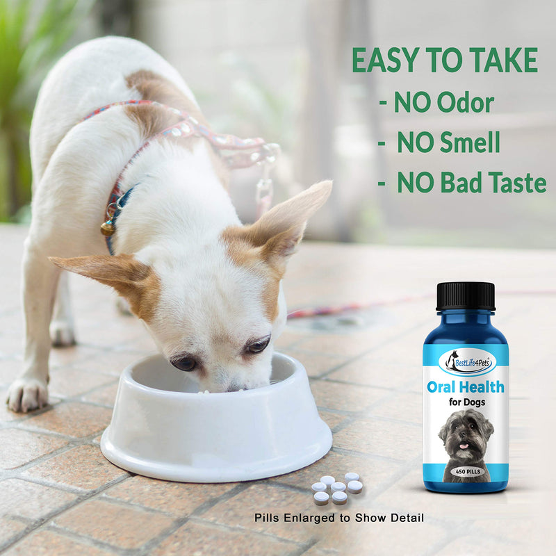BestLife4Pets Oral Health for Dogs Dental Remedy - Highly Effective Natural Treatment for Inflammatory & Ulcerative Ailments, Stomatitis and Gingivitis. No Smell, No Side Effects - PawsPlanet Australia