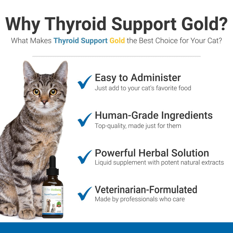Pet Wellbeing Herbal Thyroid Support for Cats - Hyperthyroidism in Cats + Healthy Thyroid + Normal Appetite & Thirst + Healthy Coat - Liquid Supplement with Lemon Balm, Rehmannia root, Skullcap - 2 oz - PawsPlanet Australia