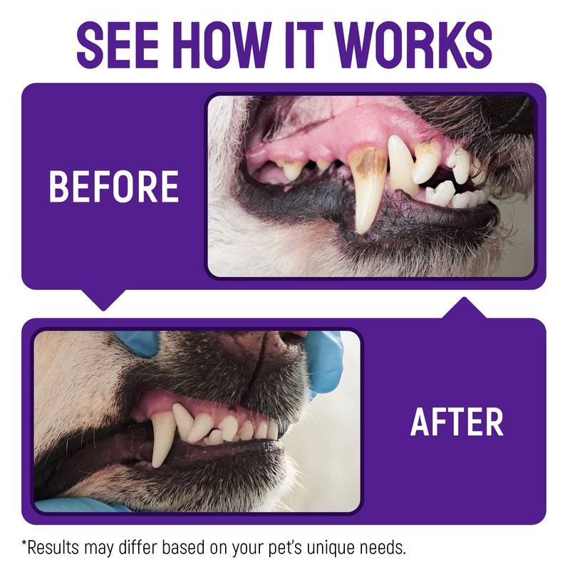 Dog Breath Freshener Teeth & Gum Spray for Pets – Cat Teeth Cleaning Spray Helps with Plaque, Tartar, and Caries – Colloidal (Nano) Silver + Deionized Water – 4 Oz Bottle