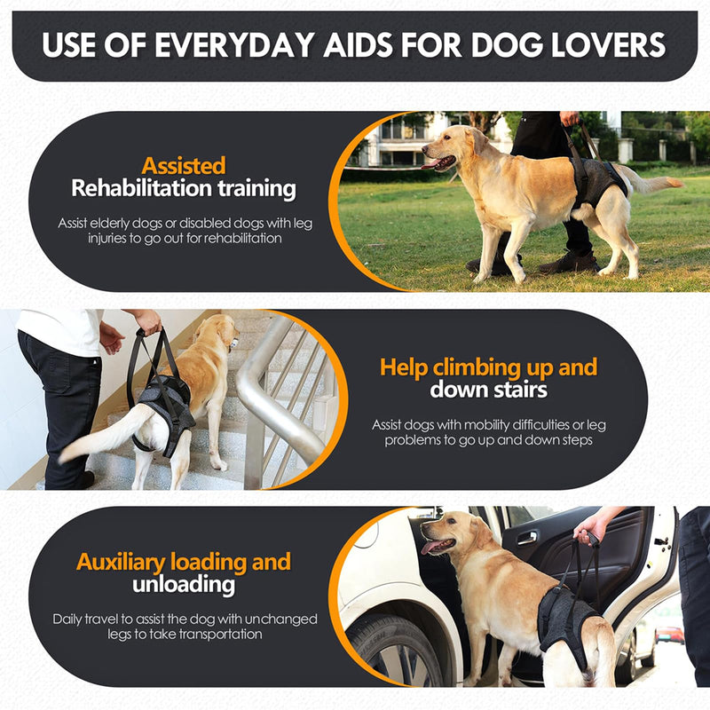 LIU&LIU Dog Support Harness for Hind Limb and Hip,Pet Recovery Walking Training,Elderly Injured Disbled,Dark Grey,S S Dark Grey