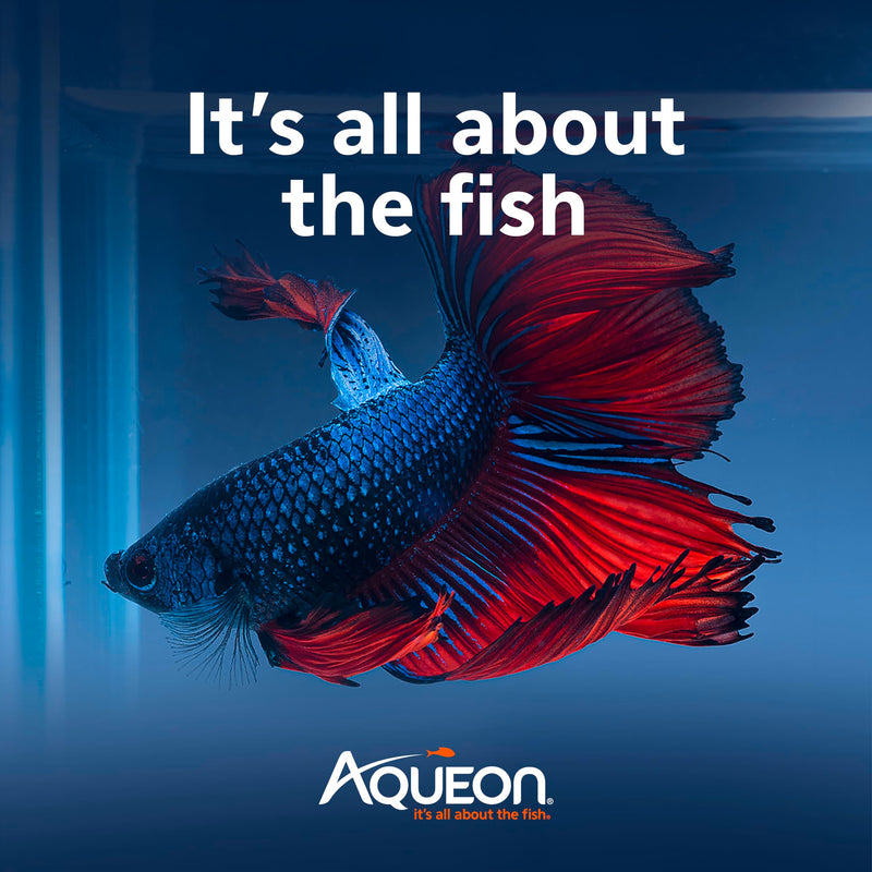 Aqueon Pure Betta Beads, Water Care for Unfiltered Aquariums, Maintains Clear Water and Helps Breakdown Organic Sludge, Pink (Pack of 2) One Pouch (Pack of 2)