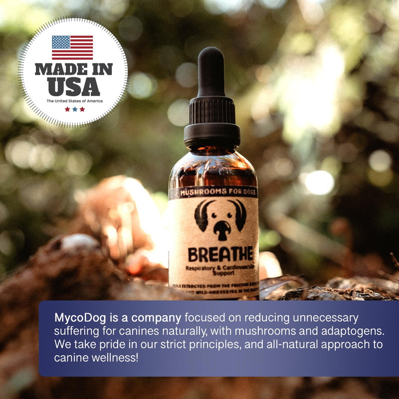 MycoDog Breathe Mushroom Extract & Adaptogen Tincture for Canines - Mushroom & Ashwagandha Supplements for Dogs with Breathing Challenges - Reishi Mushroom, Chaga, Cordyceps Mushroom & Artist Conk - PawsPlanet Australia