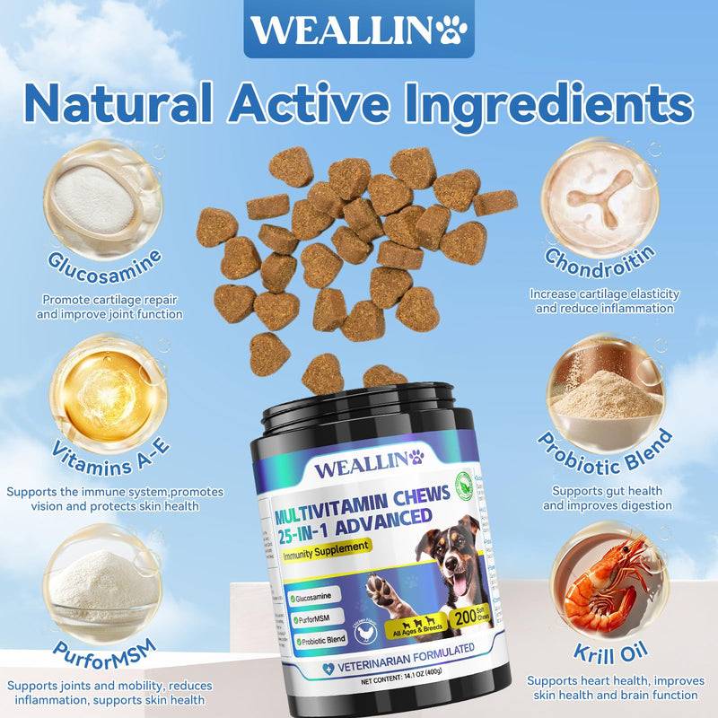 Dog Vitamins - 25-In-1 Dog Vitamins and Supplements Multivitamin For Dogs With Glucosamine Probiotics Omega-3 Dog Multivitamin Chewable For Coat, Heart, Hips & Joints, Digestion & Immune System 200pcs - PawsPlanet Australia