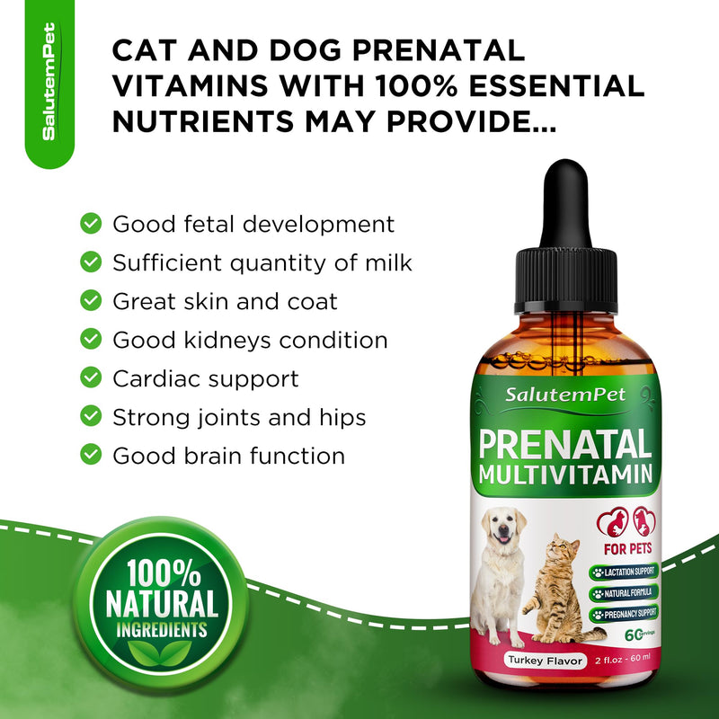 Vitamins for Pregnant Dogs and Cats - Dog Prenatal Vitamins - Pregnant Cat Supplies - Turkey Flavor, 2 fl.oz - PawsPlanet Australia