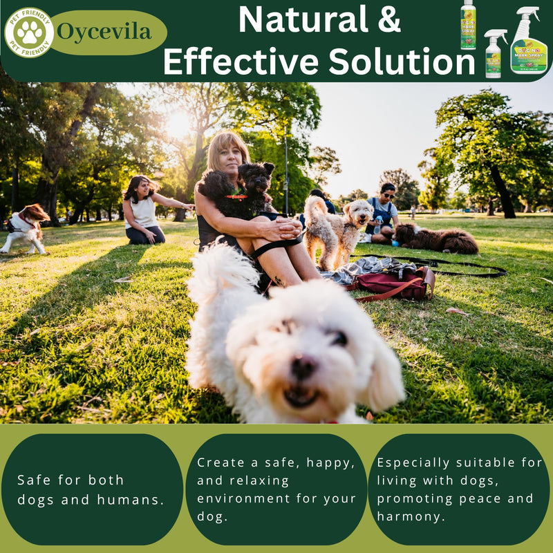 16oz No Urine Spray for Dogs - Dog Not Here Formula - Urine No Marking Spray - Puppy No Wrong Pee - Housebreaking Spray - Marking Deterrent for Furniture 18.3 Fl Oz