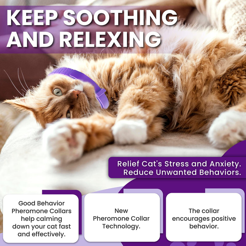 Pheromone Calming Collar for Cats: Breakaway Cat Calming Collar for Anxiety, Separation Stress, Multicat Aggression, Spraying, Meowing - for Indoor Use, Moving & Travel, 4 Pack (Purple) Purple