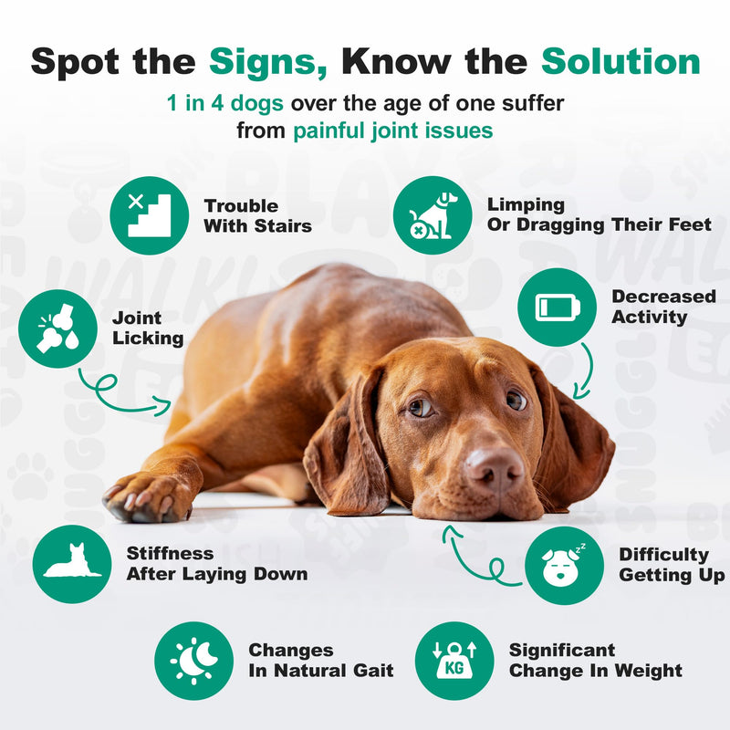 Doggie Dailies, Hip and Joint Supplement for Dogs, Glucosamine Chondroitin, Premium Hip and Joint Chews for Dogs All Breeds & Sizes, Dog Vitamins and Supplements, (Peanut Butter) 225 Chews Peanut Butter - 225 Count