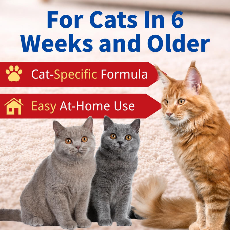 Dewormer for Cats 6 Weeks and Older, 22.2% (222 mg/g) Tablets, Fenbendazole, Cat-Specific Formula, Easy at-Home Use
