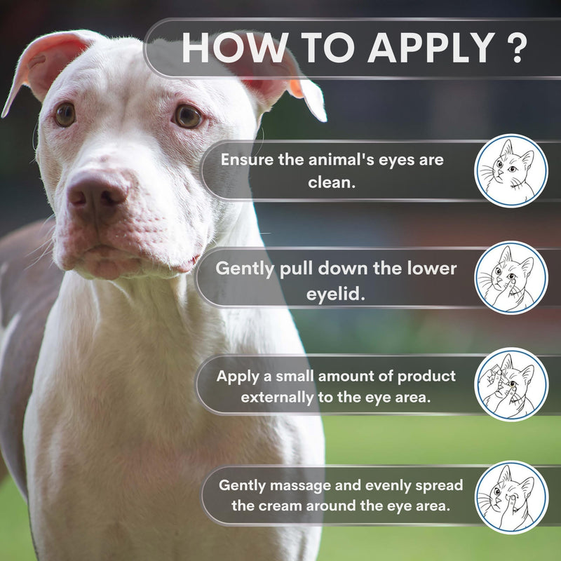 Pet Eye Care Ointment for Dogs, Cats and All Pets 1/8 oz /3.5gr Tube