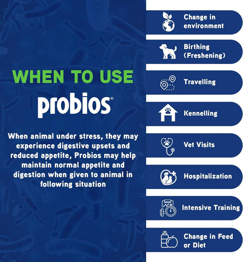 Probios Dispersable Powder - Probios Powder, Pet Probiotic, Probiotics for Swine, Equine, Sheep, Goat, Dog, Cat, Bird, Rabbit, Foals (240 gm) 8.46 Ounce (Pack of 1) - PawsPlanet Australia