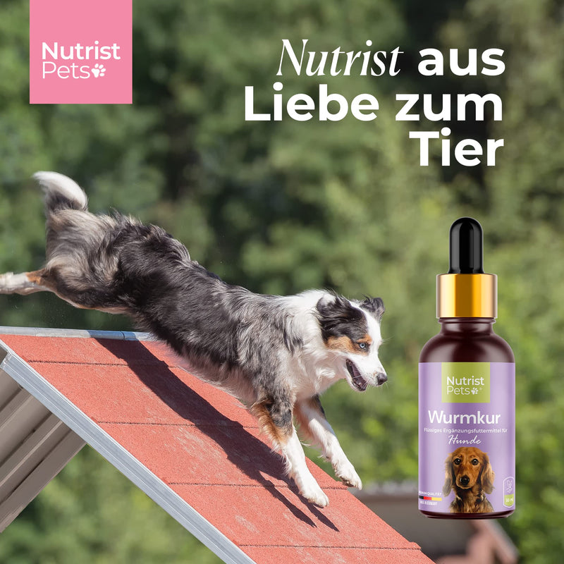 nutrist New: Natural worm treatment alternative - Vegan liquid made from herbs for the stomach and intestines in case of worm infestation - Perfect as a worm treatment for dogs - Ideal for deworming - 50ml - PawsPlanet Australia