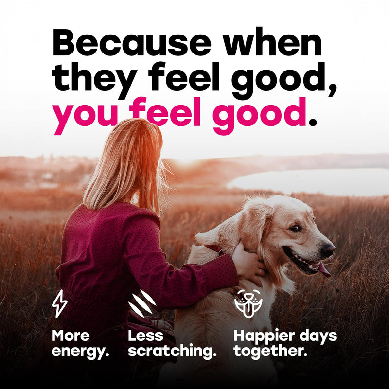 24-in-1 Dog Multivitamin Chews – Dog Vitamins and Supplements with Glucosamine, Chondroitin, Probiotics, Salmon Oil, Biotin – Daily Mobility, Digestion, Skin and Coat Support, Beef Flavor Multivitamin - Beef 1 Pack
